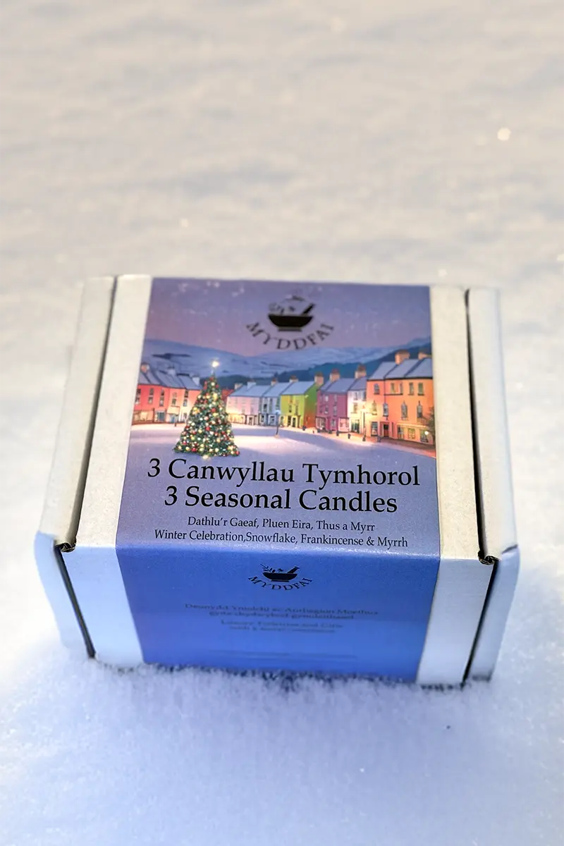 3 Seasonal Candles ~ 3 Canwyllau Tymhorol