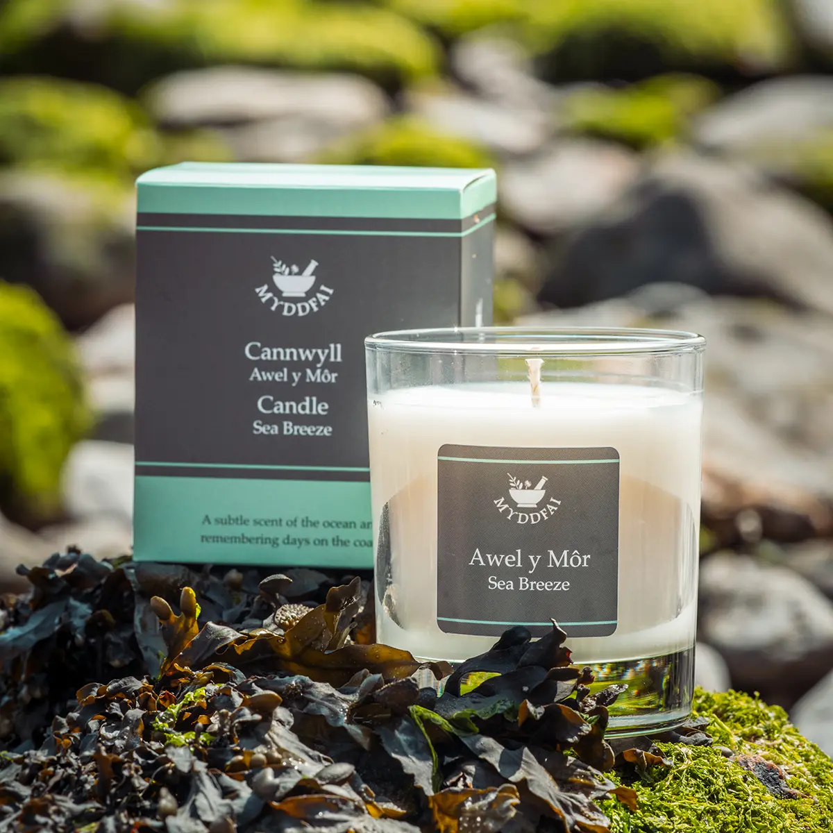 Candle Awel y Môr (Sea Breeze)2