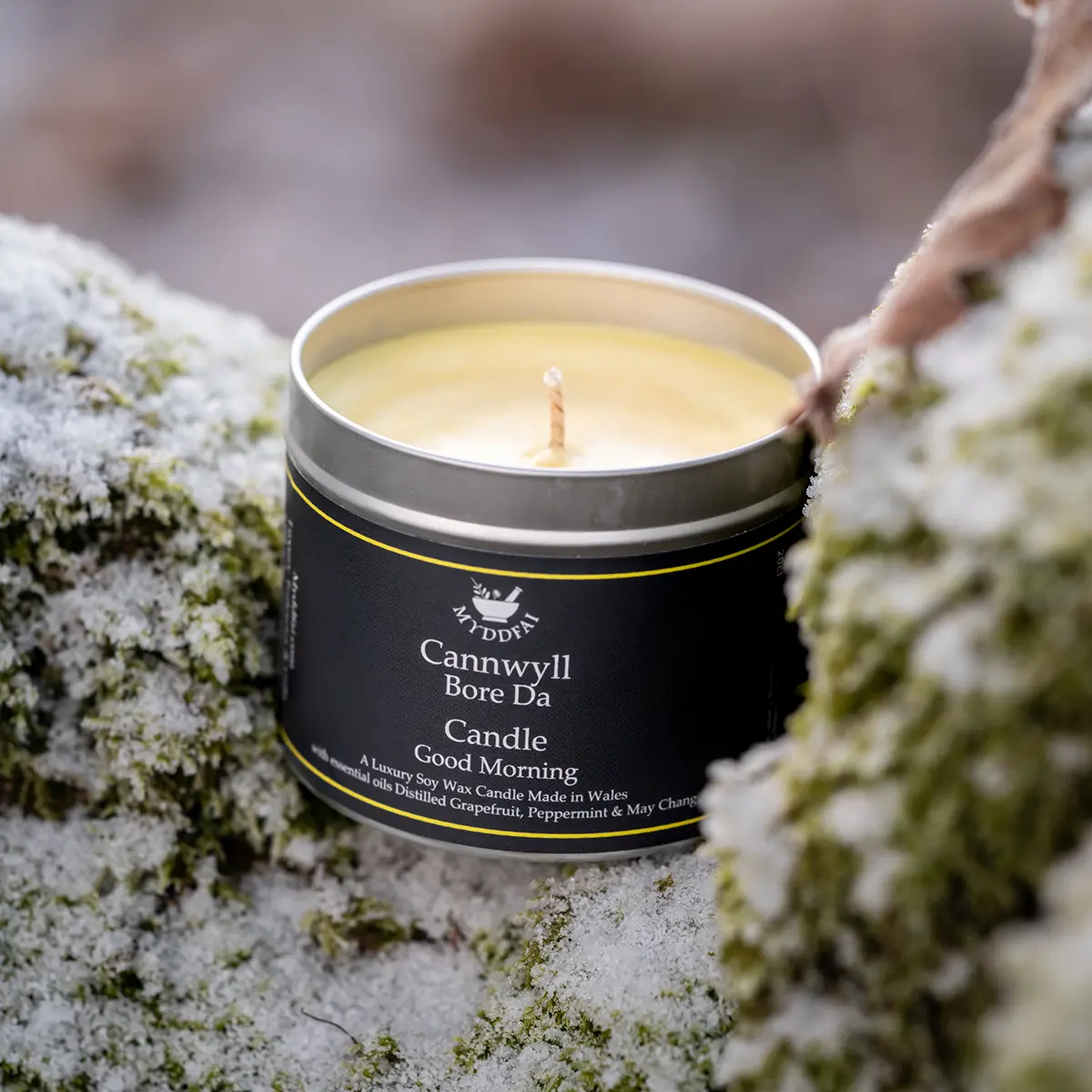 Candle Bore Da (Good Morning)