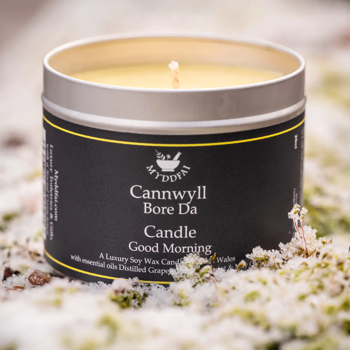 Candle Bore Da (Good Morning)