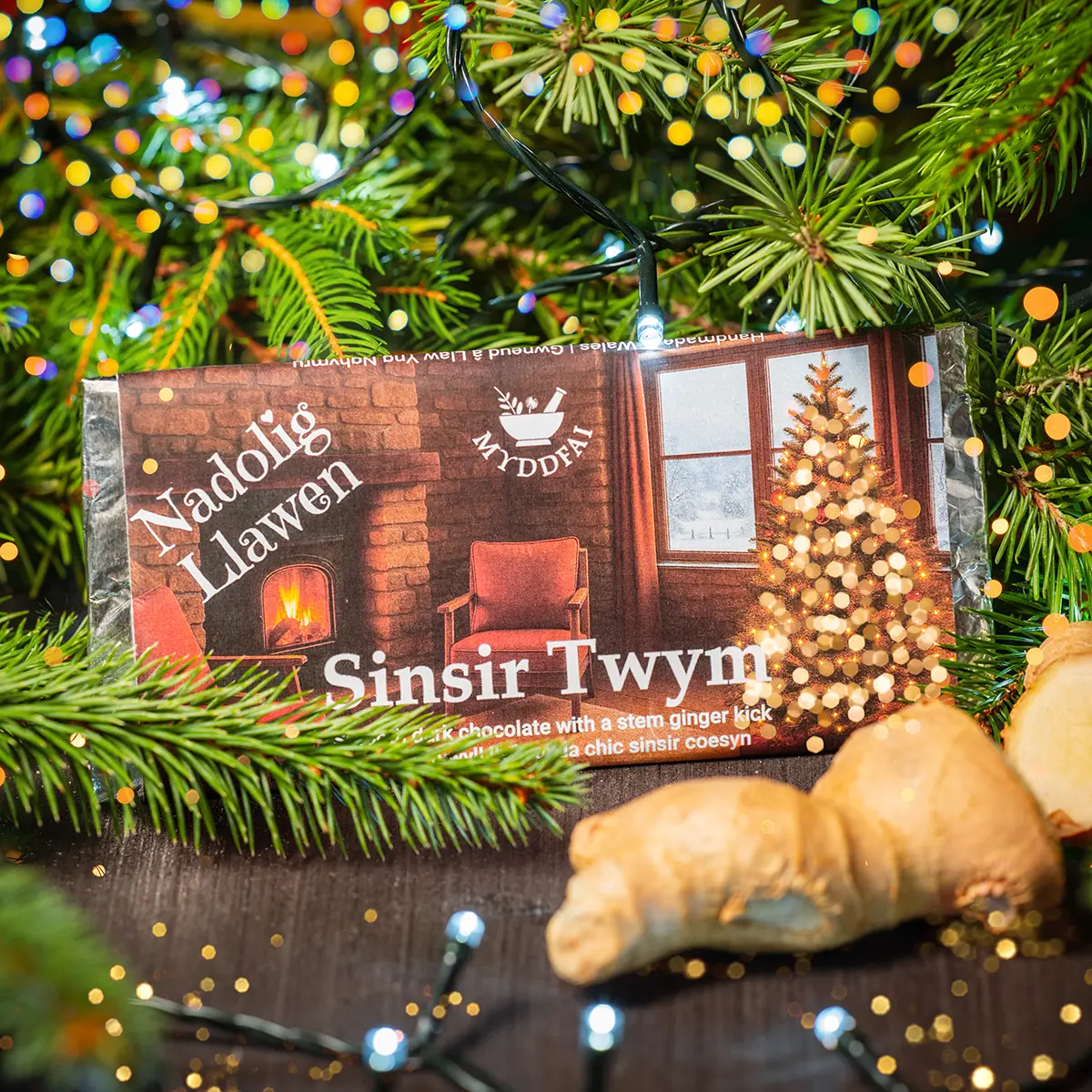 Siocled Tywyll Nadolig Sinsir Twym (Sinsir Cynnes)