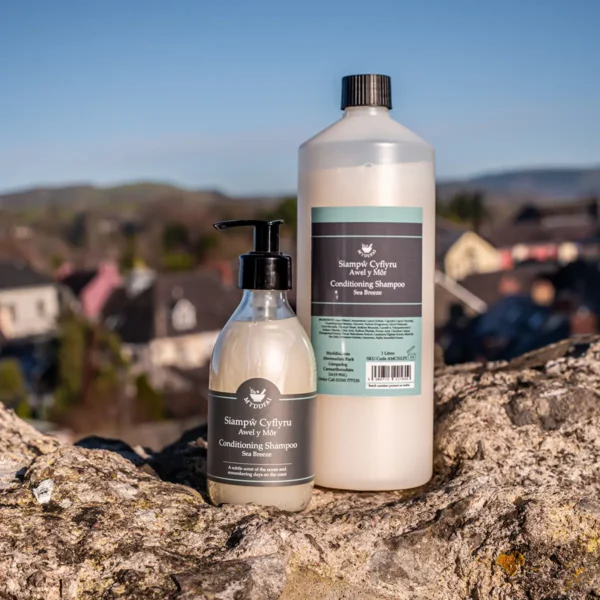 Conditioning Shampoo Awel y Môr (Sea Breeze, 250ml bottle with 1L refill)