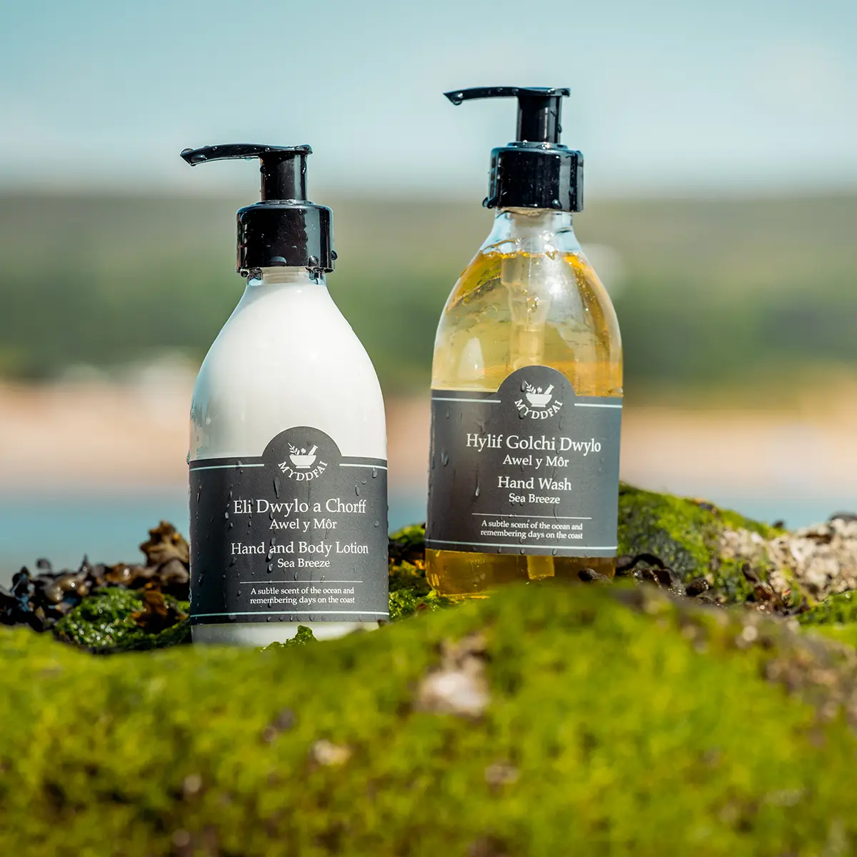 Hand Care Boxed Set Awel y Môr (Sea Breeze)
