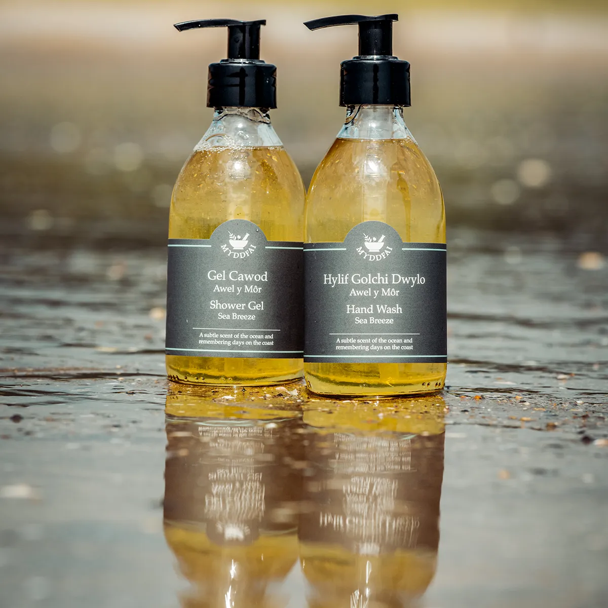Hand Wash and Shower Gel boxed set 1