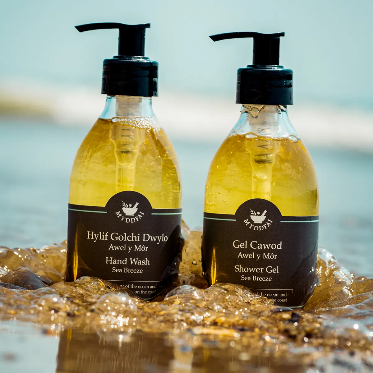 Shower Gel & Hand & Body Lotion Boxed Set Awel y Môr (Sea Breeze)