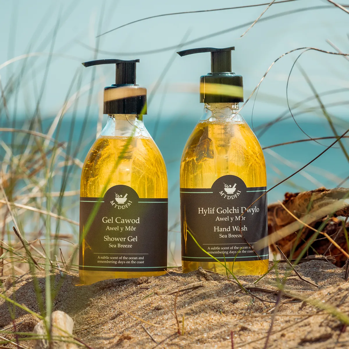 Shower Gel & Hand & Body Lotion Boxed Set Awel y Môr (Sea Breeze)