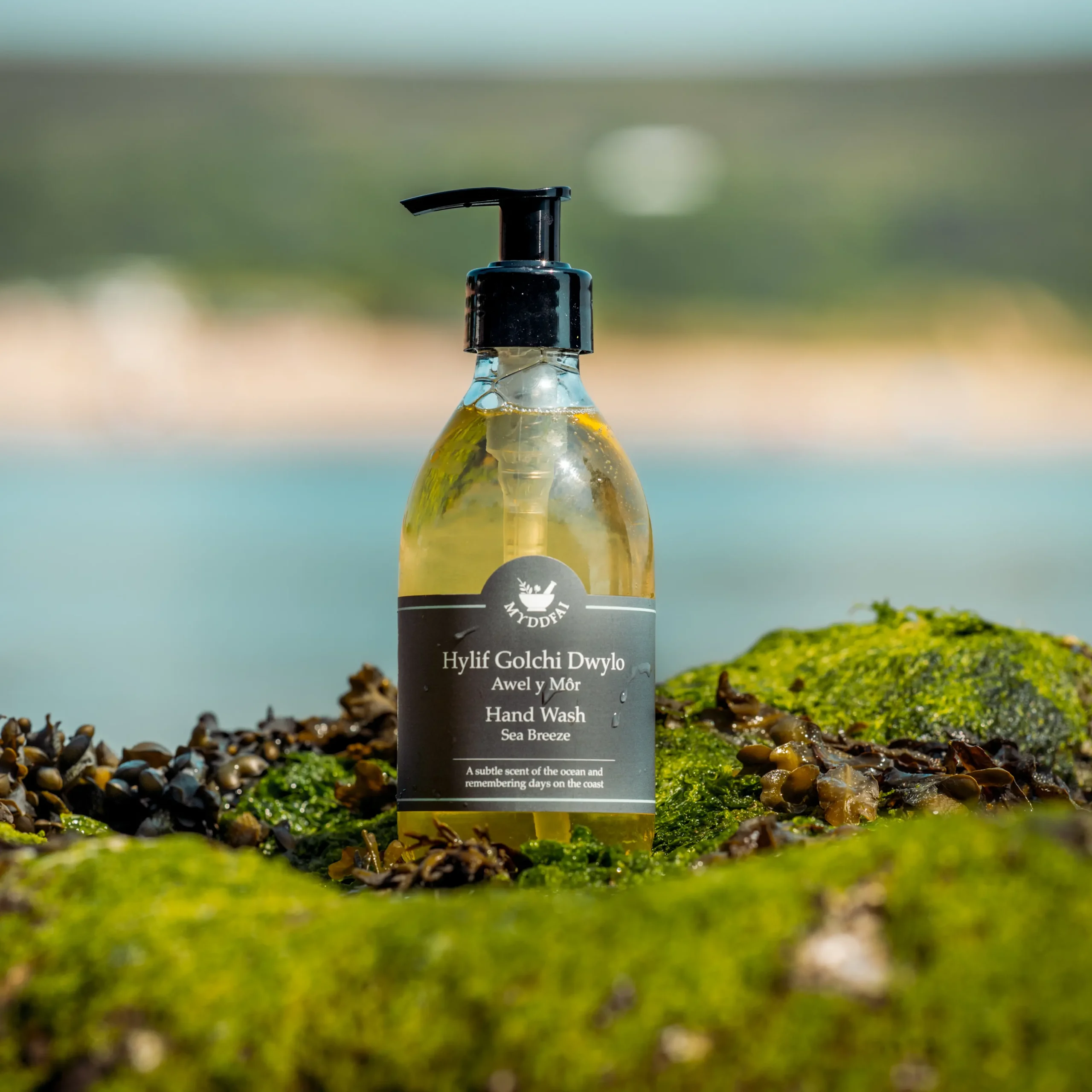 Myddfai Sea Breeze Awel y Mor Hand Wash 5