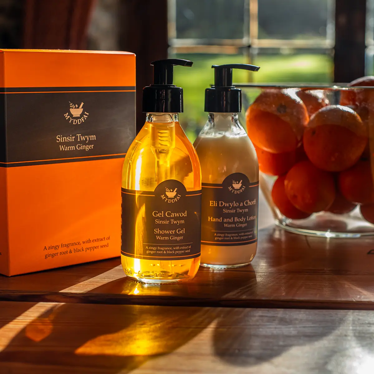 Shower Gel & Hand & Body Lotion Boxed Set Sinsir Twym (Warm Ginger)