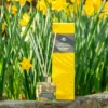 Reed Diffuser Spring Daffodil Tryledwr Cyrs Cennin Pedr y Gwanwyn