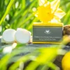 Wax Melts Cennin Pedr y Gwanwyn (Spring Daffodil)