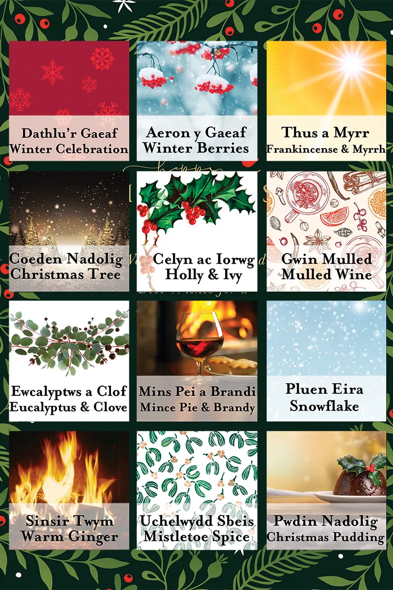 12 Days of Christmas Wax Melts ~ 12 Diwrnod y Nadolig Cwyr yn Toddi