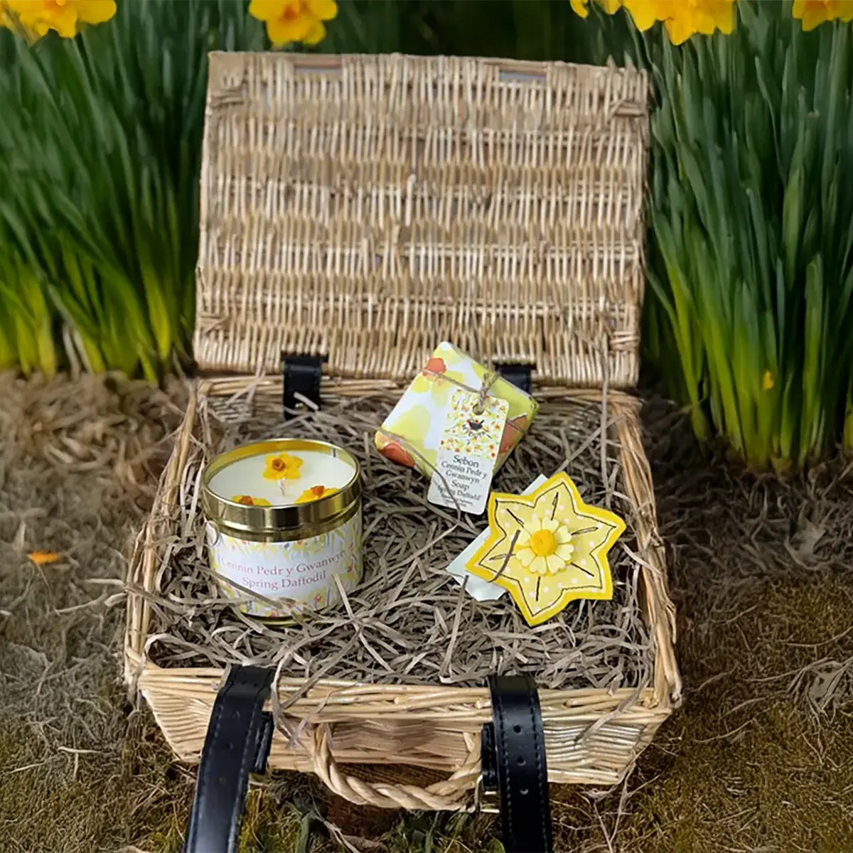 Hamper Rhodd Daffodil - Hamper Anrheg Cennin Pedr