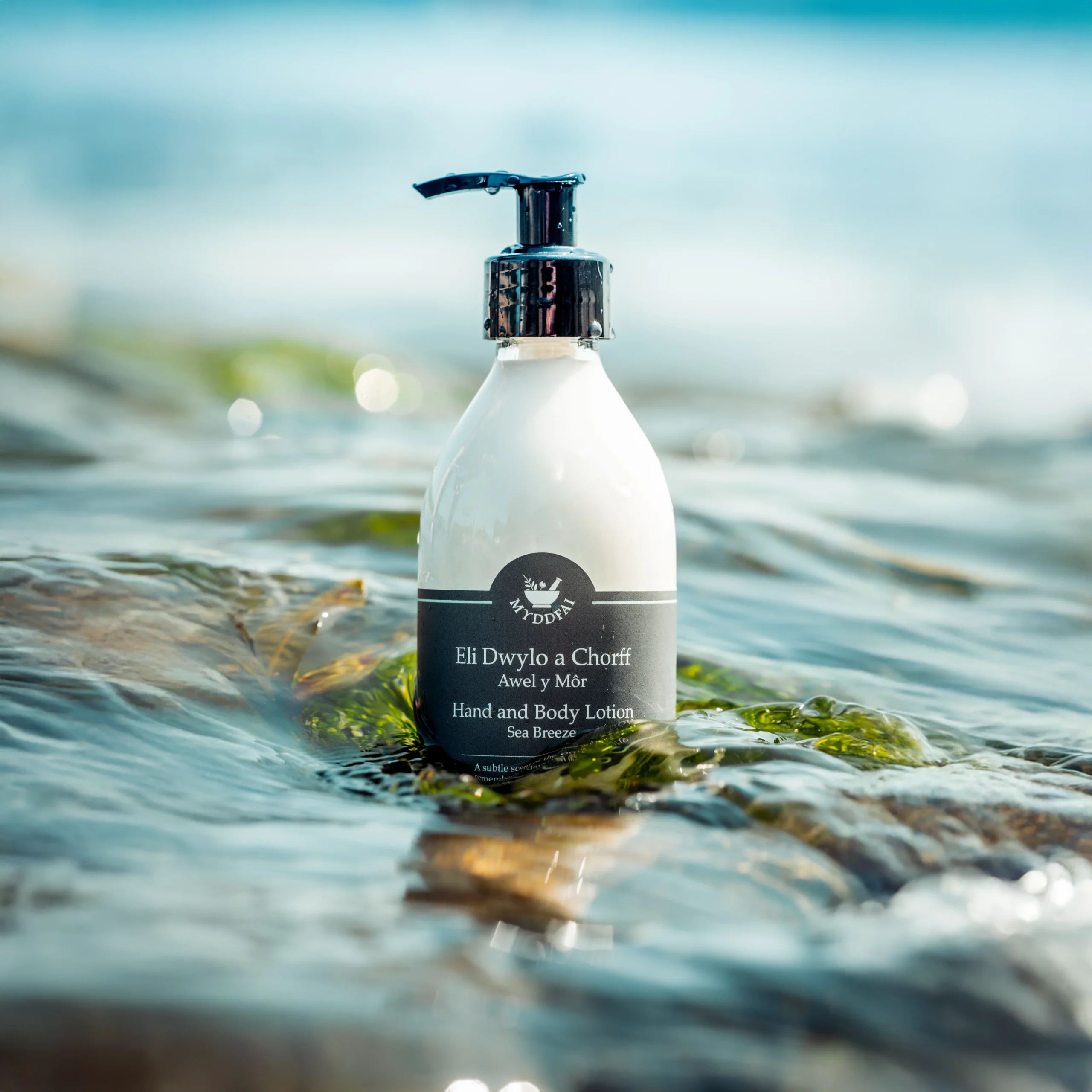 Hand and Body Lotion Awel y Môr (Sea Breeze)