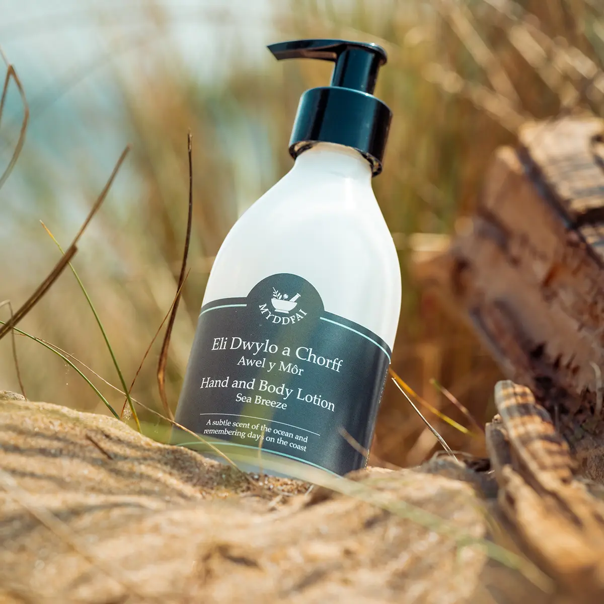 Hand and Body Lotion Awel y Môr (Sea Breeze)