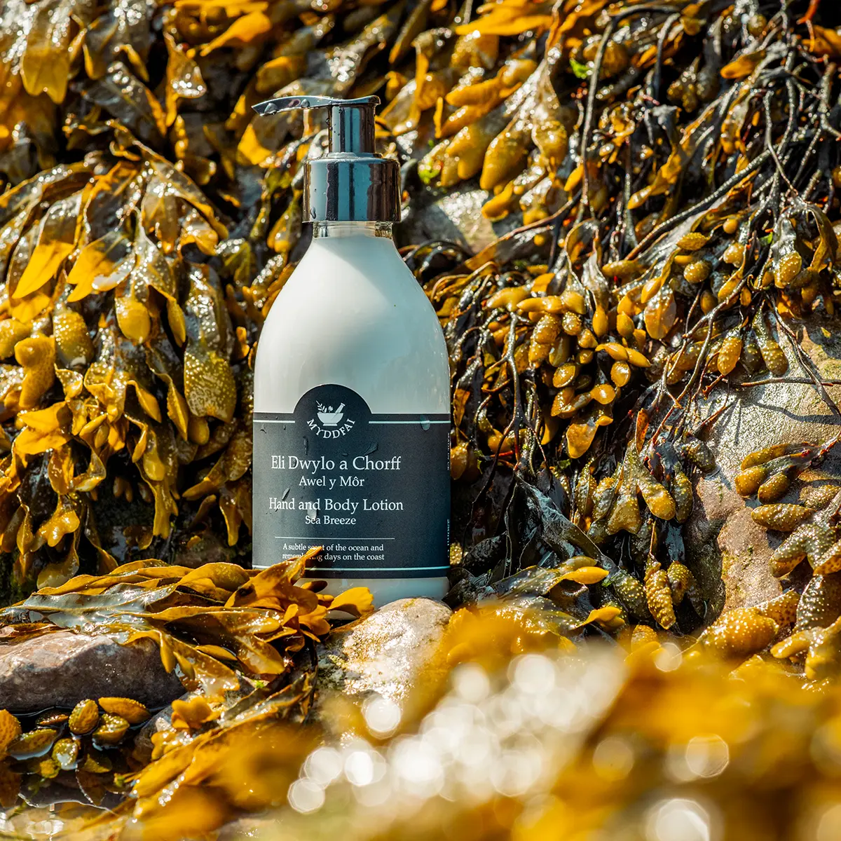 Hand and Body Lotion Awel y Môr (Sea Breeze)