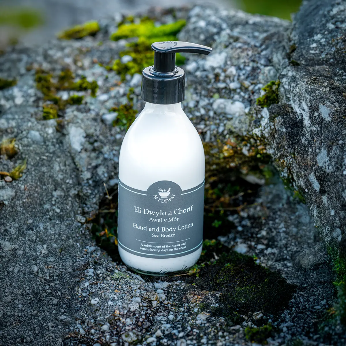 Hand and Body Lotion Awel y Môr (Sea Breeze)