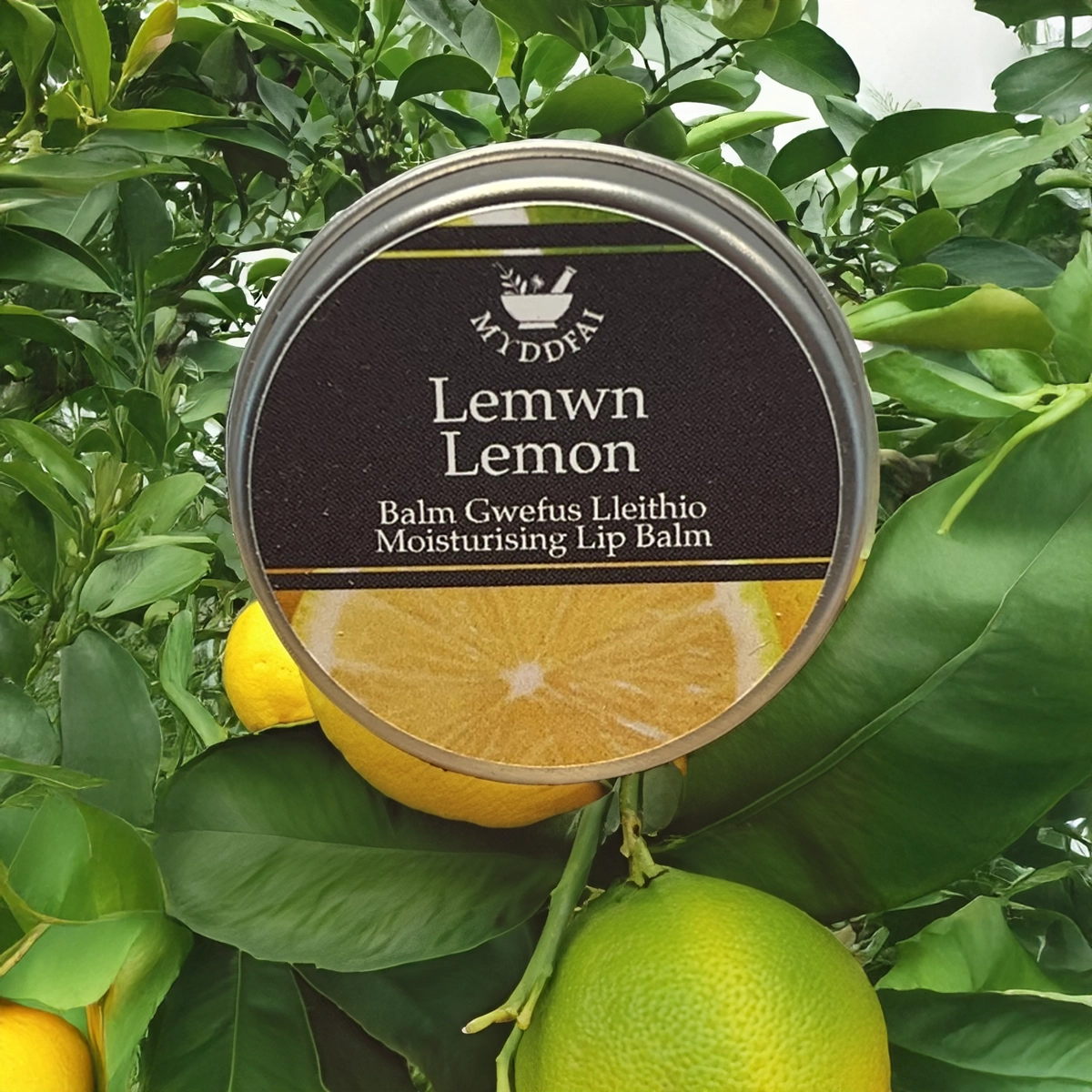 Moisturising Lip Balm Lemon