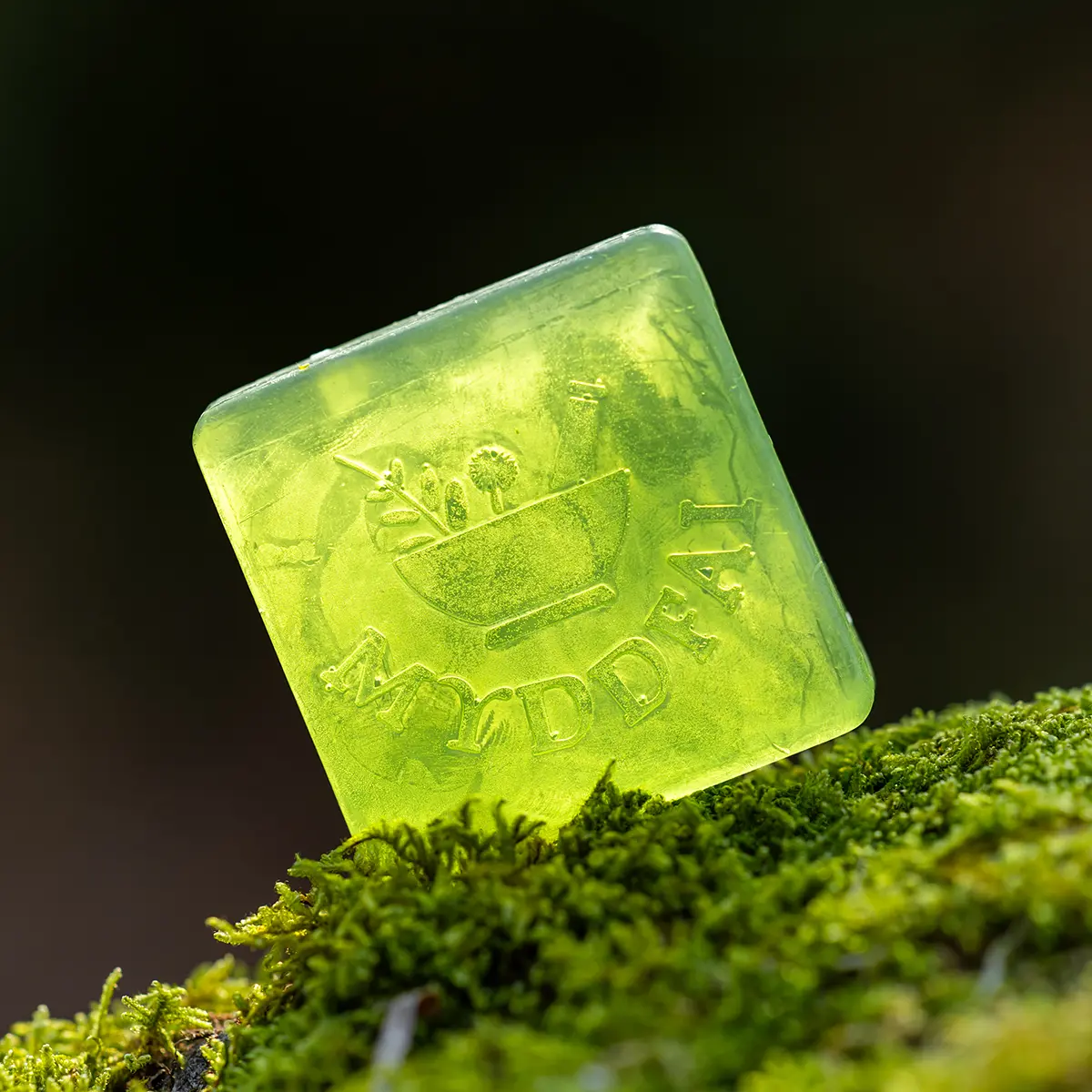 natur 02